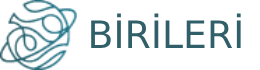 Birileri İthalat Logo